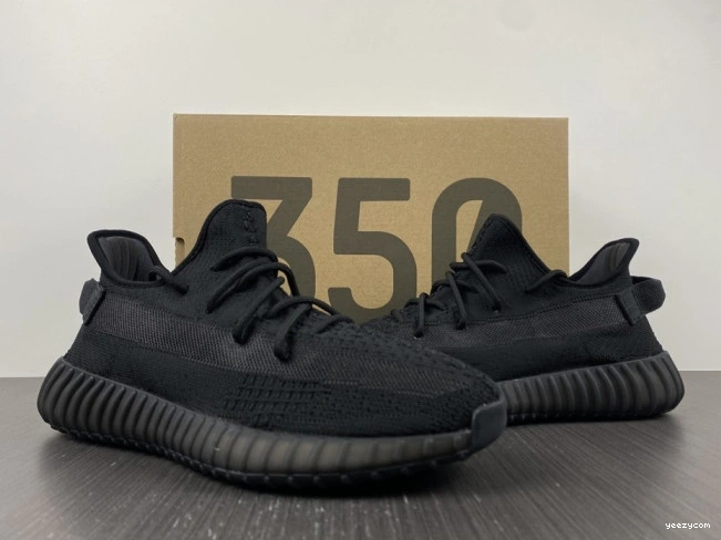 Adidas HQ4540 Onyx Boost Yeezy 350 V2 0812